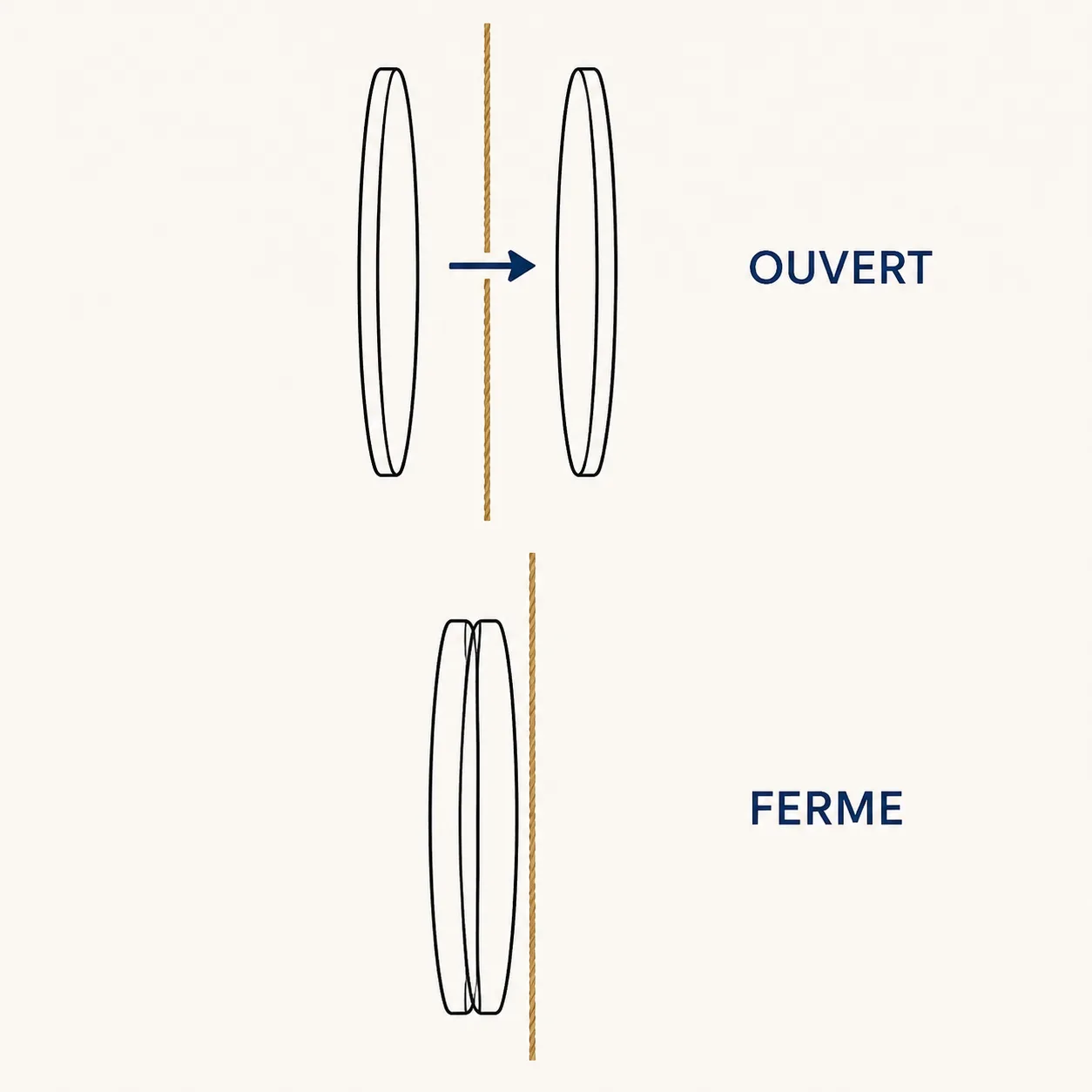 Les deux disques de tension, ouverts levier relevé et fermés levier baissé